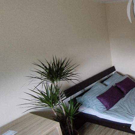 Apartament A8 Gdynia Orlowo Eksteriør bilde