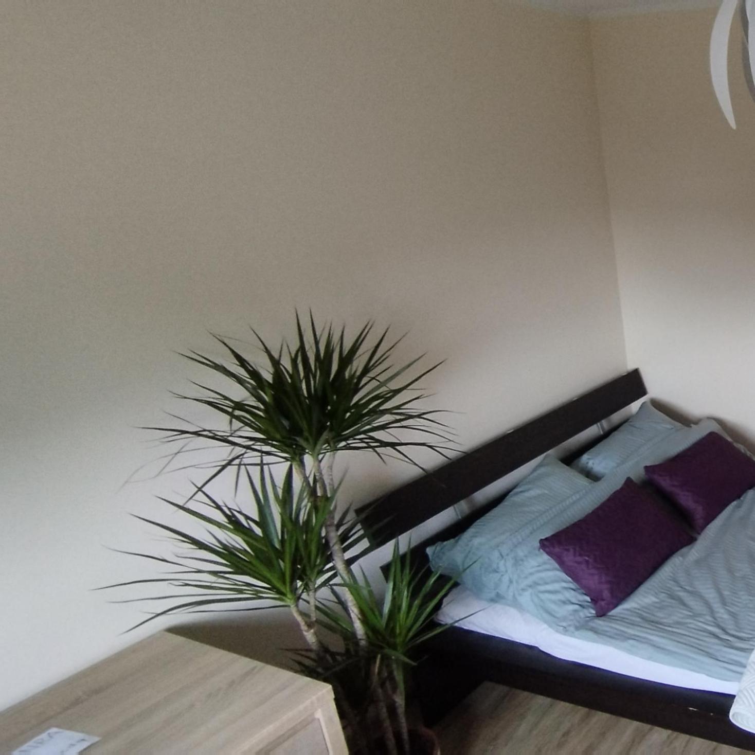Apartament A8 Gdynia Orlowo Eksteriør bilde